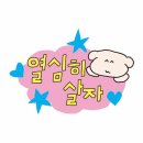 이게 겨울이야 봄이야