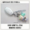 블링블링 키링 | 블루지브라키케이스 현대차 팰리세이드 LX3 7버튼 번호판키링 추천 / 생활기스 오염까지 안심!
