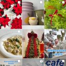 뽑기오빠 | [부천 옥길동 카페] 카페 에이프 : 식물 카페에서 식물 뽑기, 포토존