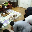 이쁜것들 이미지