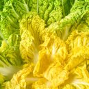 조은세상영농조합법인 이미지