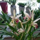 솔기아파트 이미지