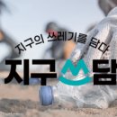 댕댕지구 이미지