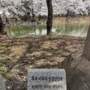 안흥유원지 | *이천 안흥유원지-작가의 봄나들이