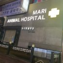 쿨펫동물병원 킨텍스점 이미지