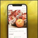 윤영숙농장 | 농산물직거래 팔도감 앱으로 신선함 그대로 집으로 배송받자 (추석선물 준비도 가능)