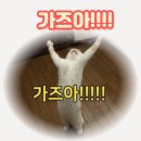 바리스타중급(오후) 이미지