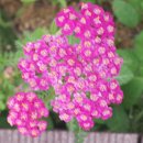 관곡지약국 이미지