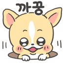 독스마캣 미사강변점 네이버블로그