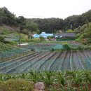 양양김택준가옥 이미지