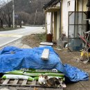 원주 | 농부부 구판장 카페 (+소나타오브라이트)