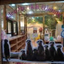 에덴미어캣프랜즈 이미지