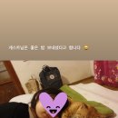 제주에내집 이미지