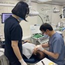 청학동행정복지센터 이미지