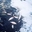 경희환경 이미지