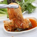 우렁각시와꽃길