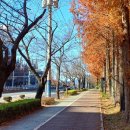 산업단지 자전거길 | 창원특례시 국가산업단지 국토둘레길 자전거 여행