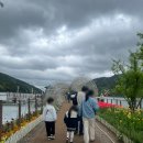 비슬산둘레길 2구간 | [대구 달성군]옥연지 송해공원 둘레길(비슬산 둘레길 2구간)