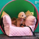 슈비듀밥 이미지