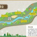 금산산림문화타운캠핑장 이미지