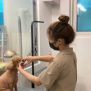 동국미용실
