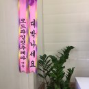 세차하기좋은날 Daum카페