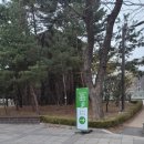 희망나무심기6 | 유한킴벌리 우푸푸 2026 신혼부부 나무심기 참여후기!