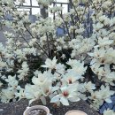 노타이틀 이미지