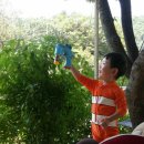 화악산풍경펜션 이미지