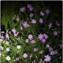 원용경로당 이미지