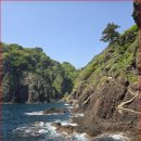 절벽을 따라 걷는 울릉도 해안 비경 이미지