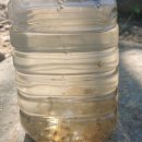 곡성-204 | 31th 캠핑-곡성 꿈꾸는 캠핑장 204사이트 이용 후기