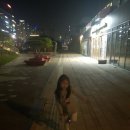 휴 애견미용 이미지