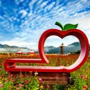 산소카폐 청송정원 (2) 이미지