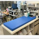 이서동물병원 이미지