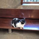 장은카정비 | 신혼여행 Part 3. 그라나다 알함브라 궁전으로!(feat. 세테닐)🇪🇦