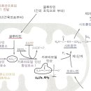 요소회로 이미지