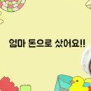 써니네식당 이미지