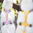 앞섬상회 이미지