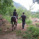 해동검도 북삼체육관 이미지