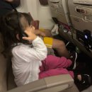 김밥나라만천점 | [하와이] 33개월 아이랑 하와이 1~2일차(deck, 호오말루히아 식물원, 카피올라니공원)