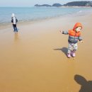 구름포해수욕장카라반 | 태안 구름포 해수욕장 카라반 캠핑