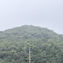 무봉리토종순대국(법원리점) 이미지