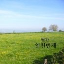 푸른초장 이미지