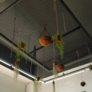 이현식당 이미지