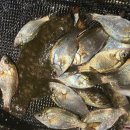 양포 방파제 화장실 이미지