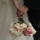 719 studio | 스드메 준비 대백과 1편 : 웨딩플래너, 스튜디오, 헤어변형 / 스드메 계약 전으로 돌아가면 이렇게 준비...