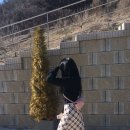 머쉬랩