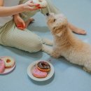 레이지 데이 이미지