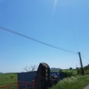 명진목장 이미지